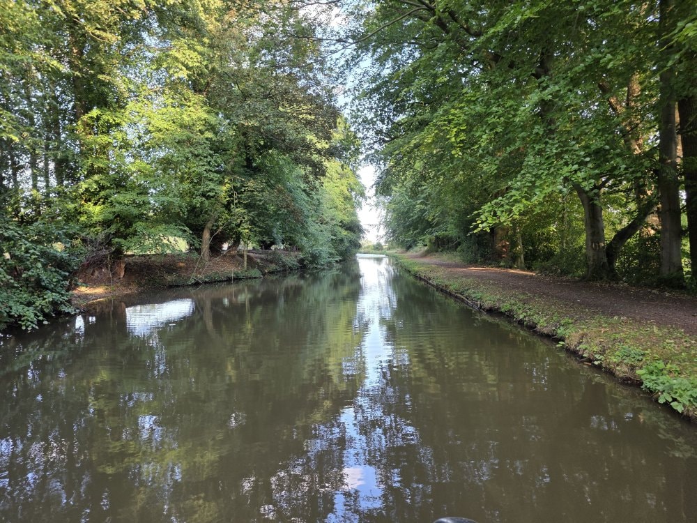 A canal lined with tall trees forming a green tunnel over the water